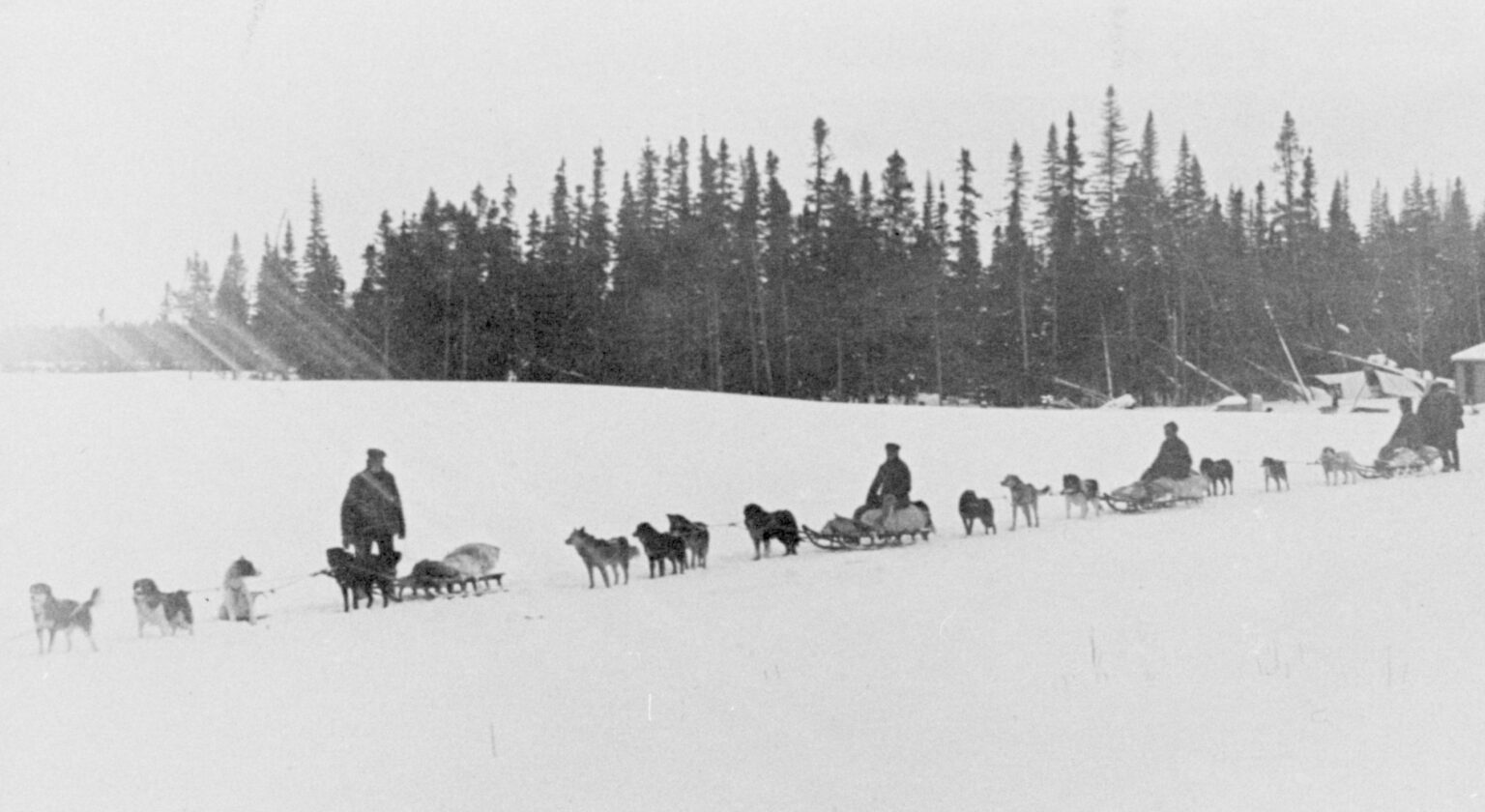 Attelages de chiens tirant des cométiques, vers 1900.