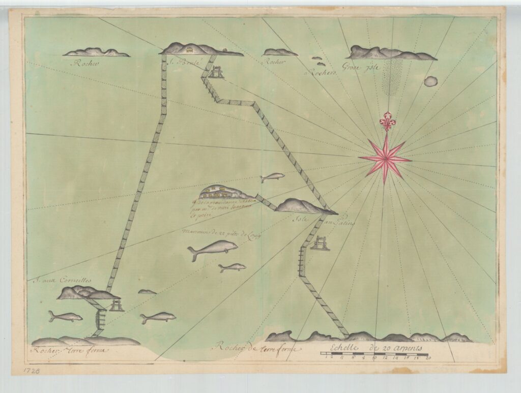 Pêche aux marsouins (bélugas) dans les îles de Kamouraska