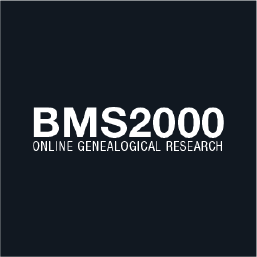 Logo BMS 2000