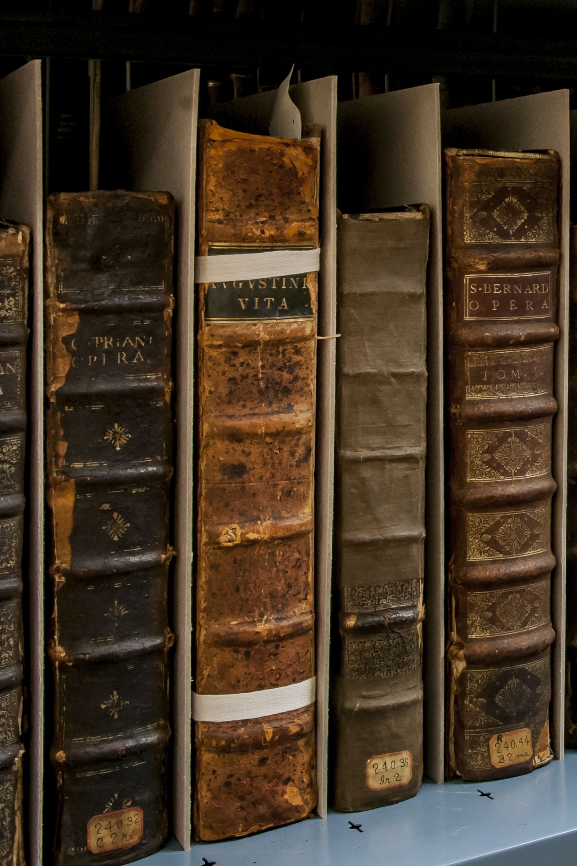 Livres anciens dans une réserve du site Rosemont de la Bibliothèque nationale