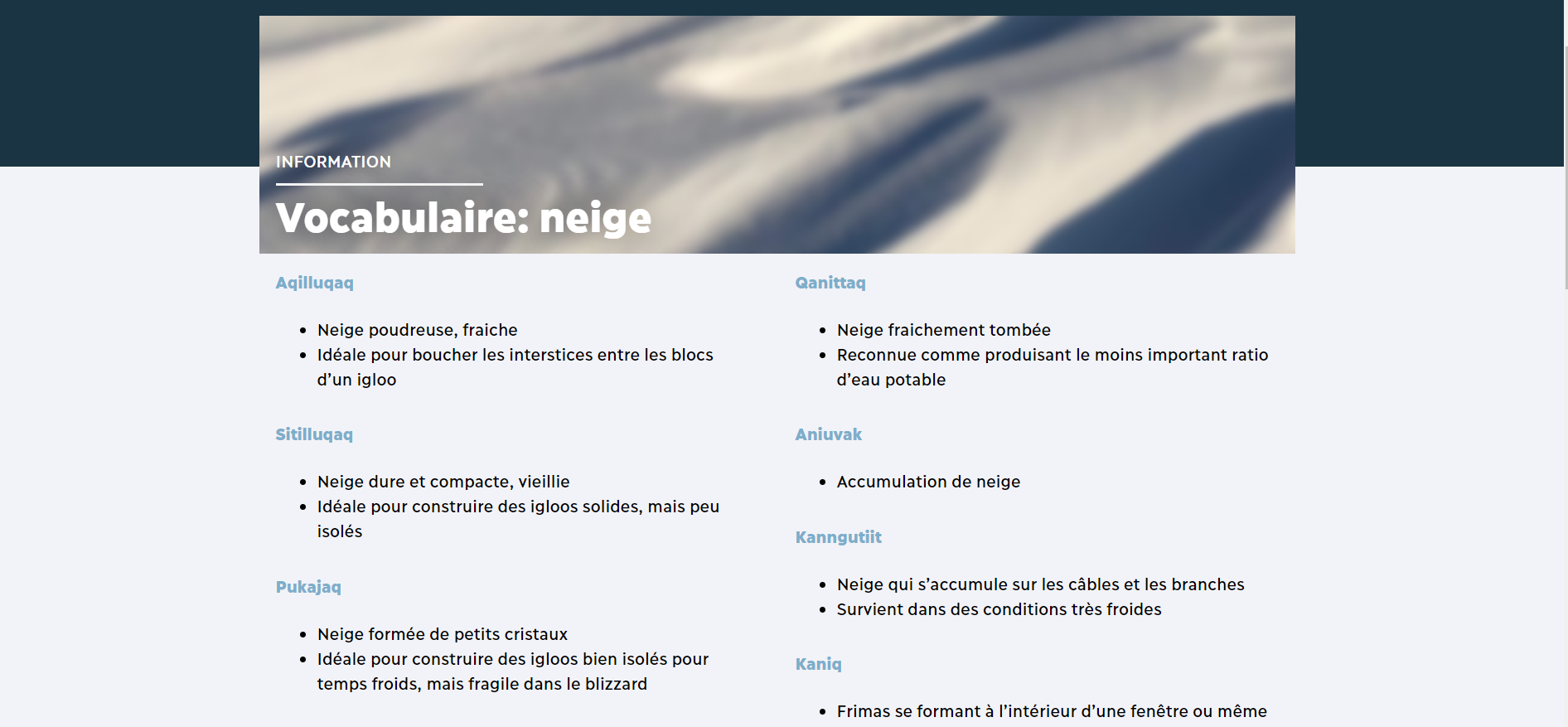 Capture d'écran de la page de vocabulaire neige sur le site de Nunavik-IcE