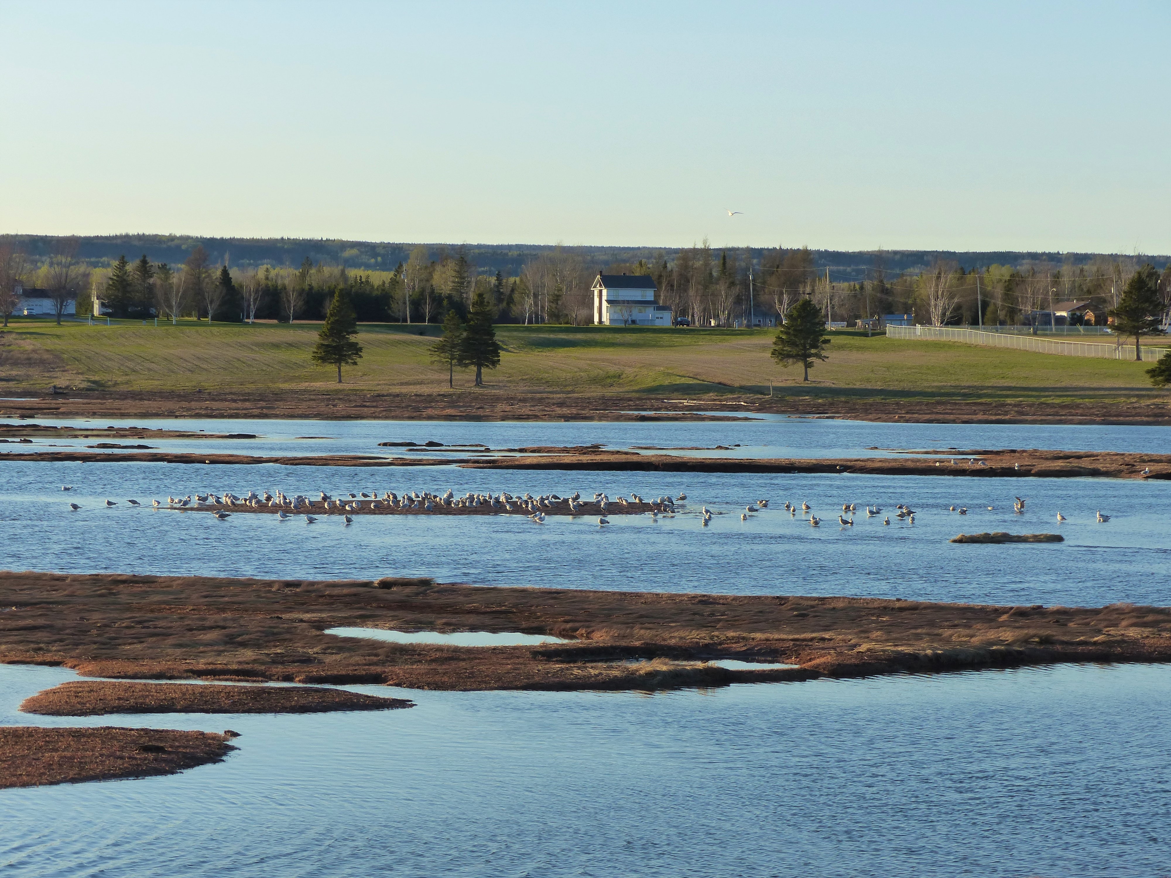 Paysage québécois