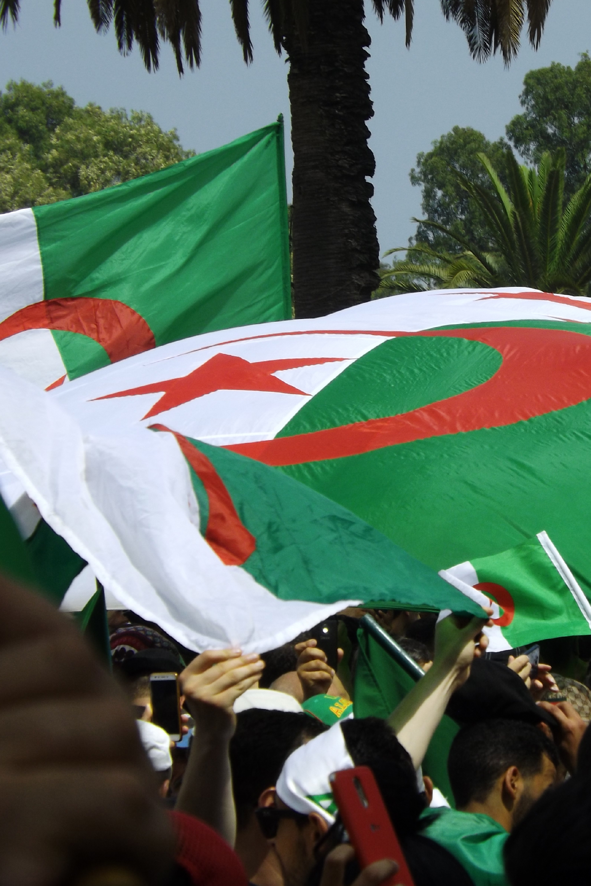 Drapeaux de l'Algérie tenus pas des manifestants.