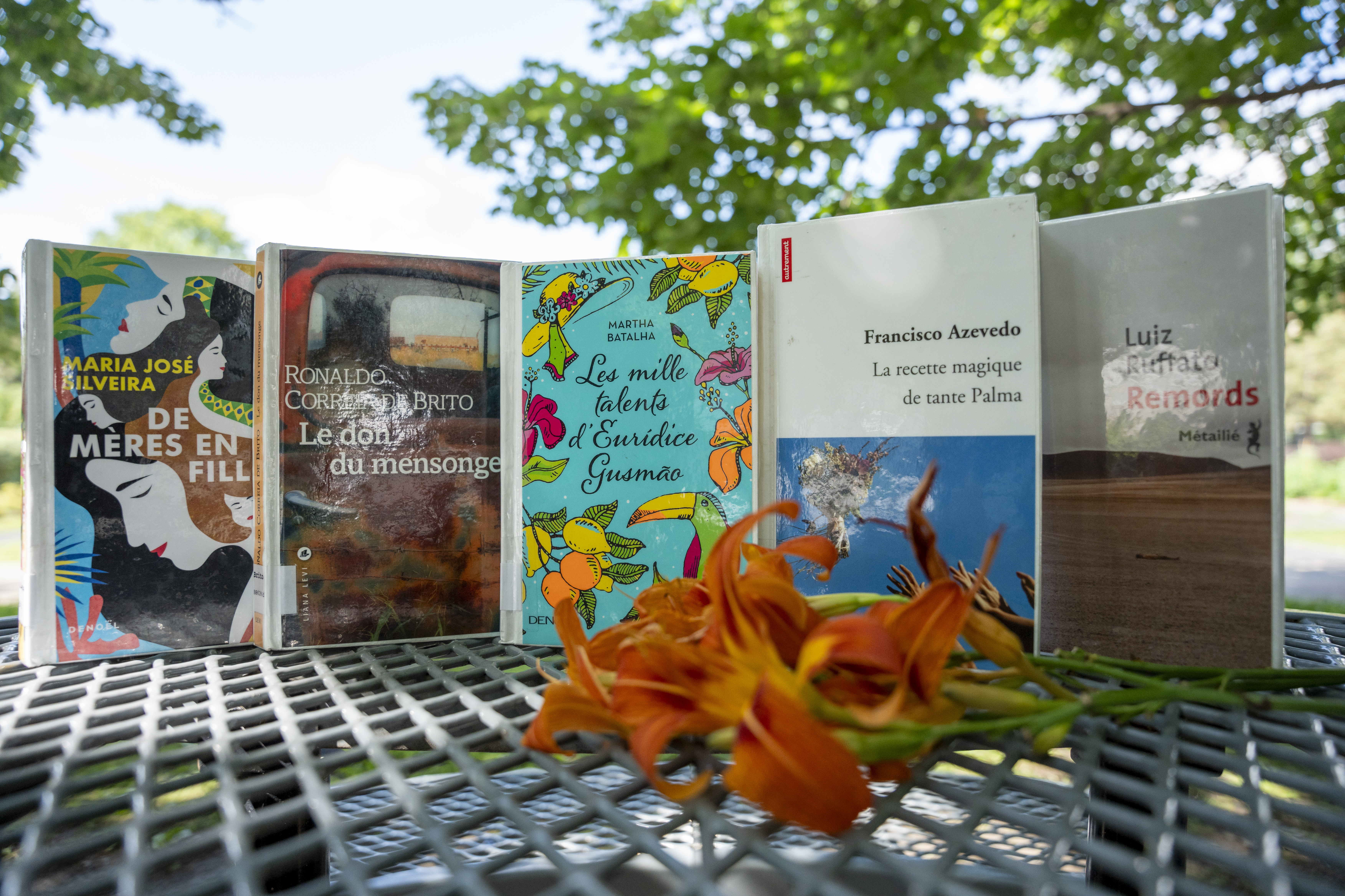 Les livres « De mères en filles », « Le don du mensonge », « Les mille talents d'Eurídice Gusmão », « La recette magique de tante Palma » et « Remords ».
