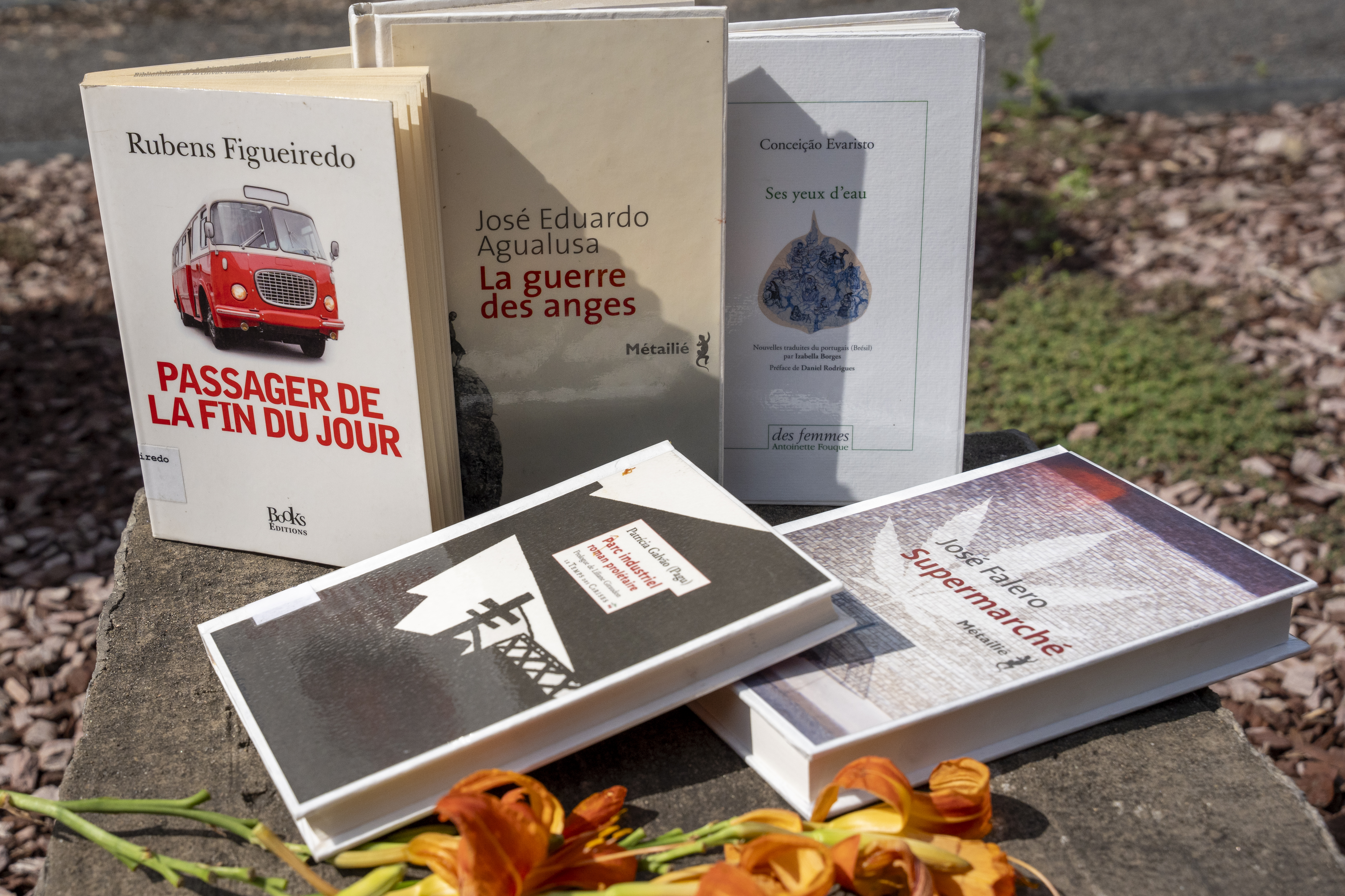 Les livres « Passager de la fin du jour », « La guerre des anges », « Ses yeux d'eau », « Parc industriel » et « Supermarché ».