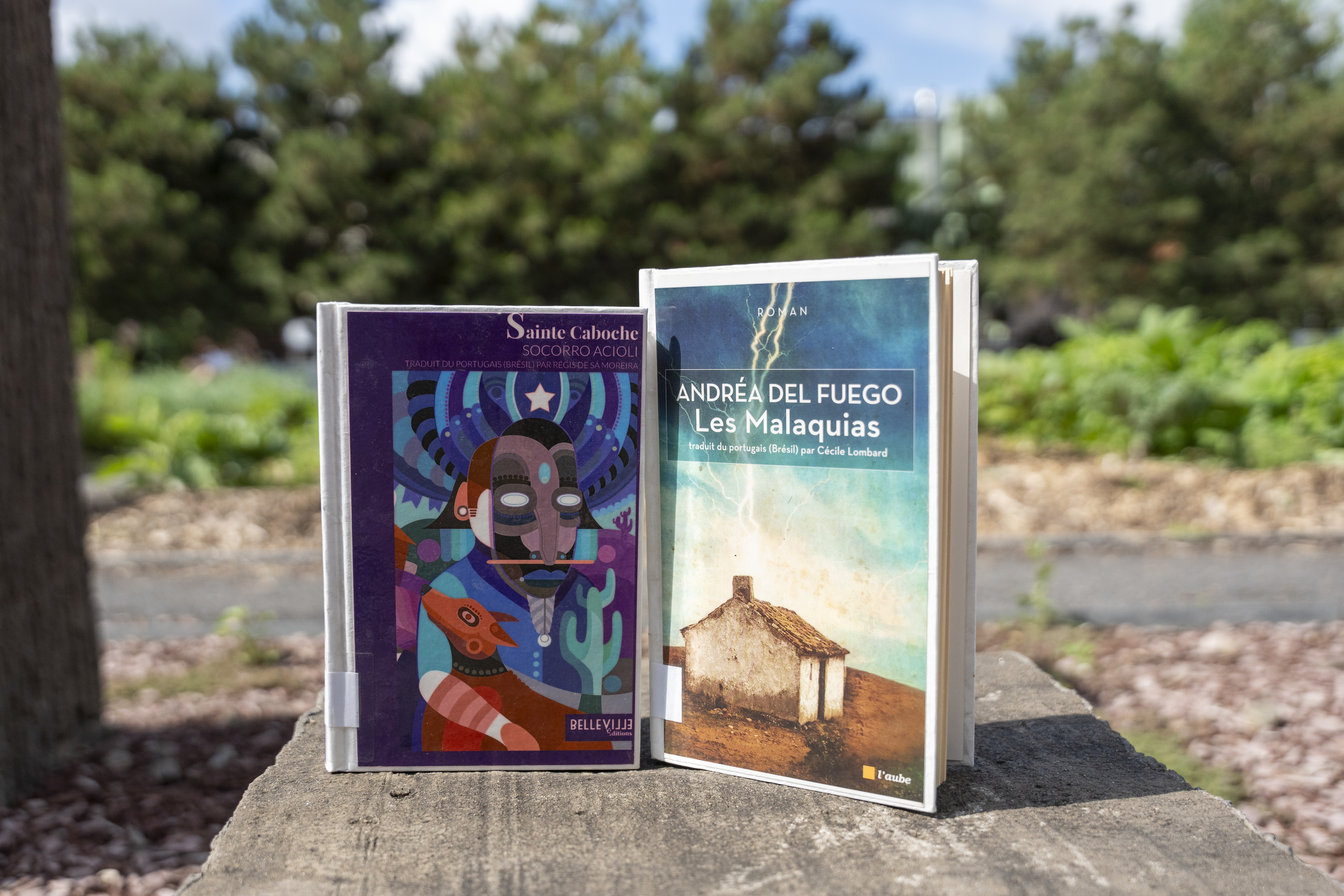 Les livres « Saint Caboche » et « Les Malaquias ».