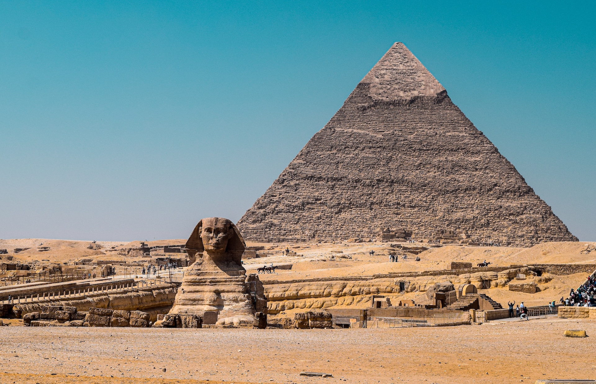 Sphinx devant la pyramide de Gizeh.