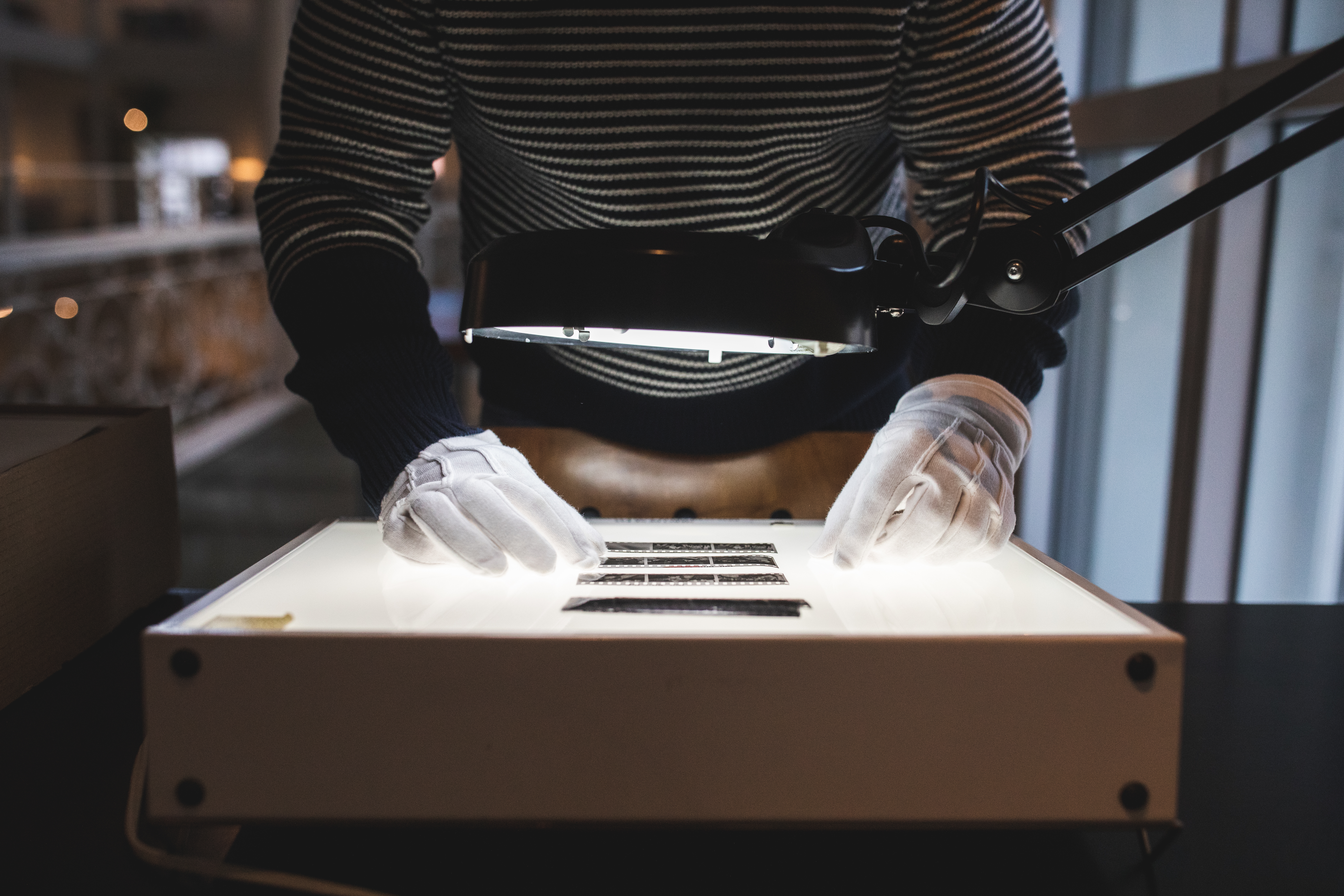 Un archiviste observe des négatifs sur une table lumineuse.