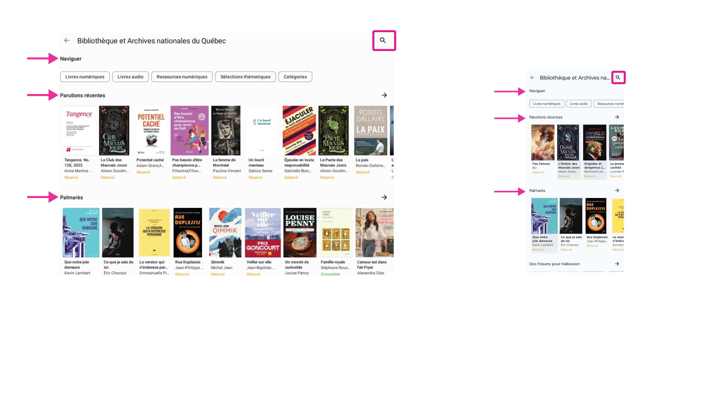 Les options pour la sélection d’un livre dans l’interface du catalogue
