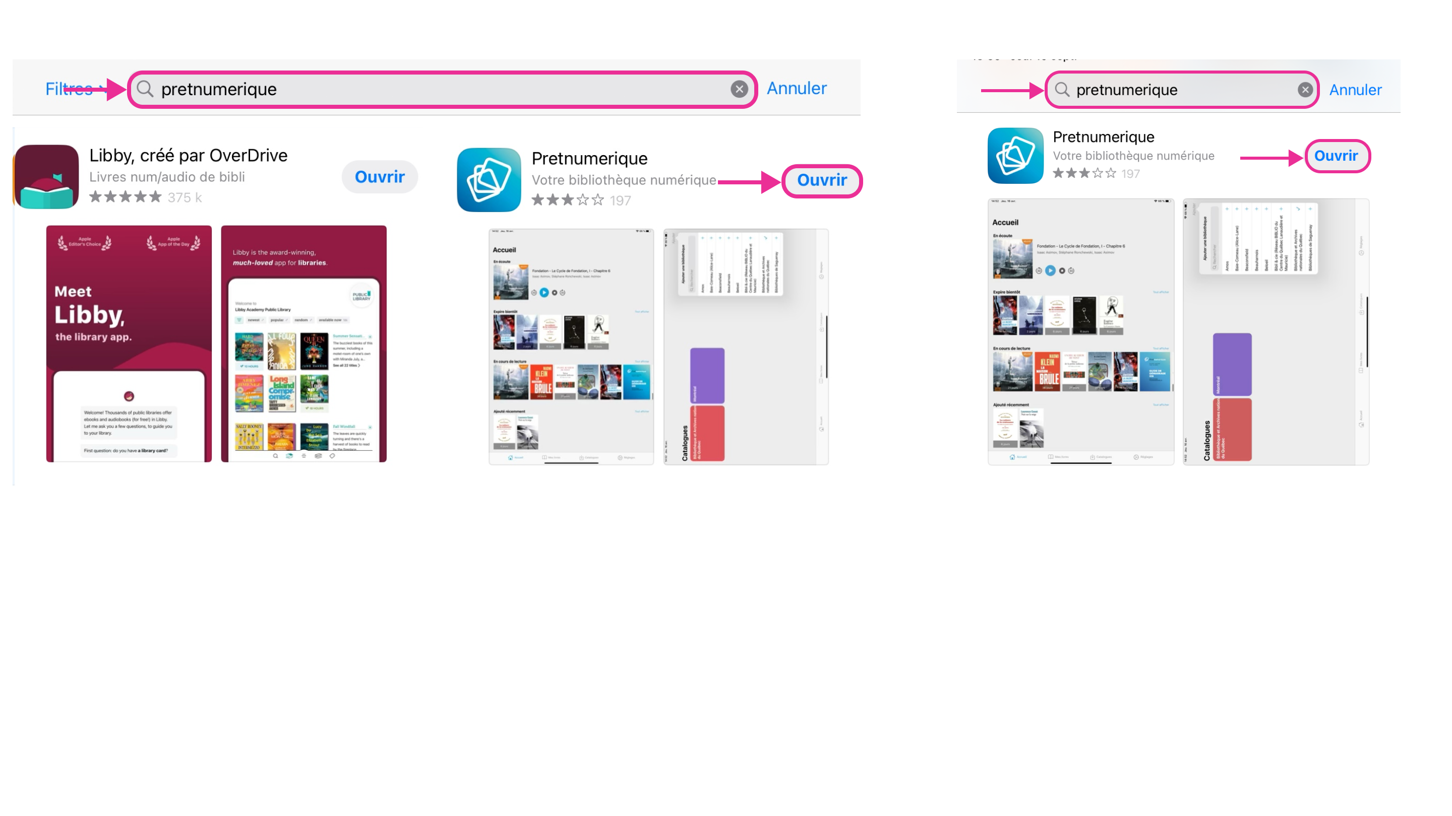 Recherche de l'application Pretnumerique dans l’AppStore