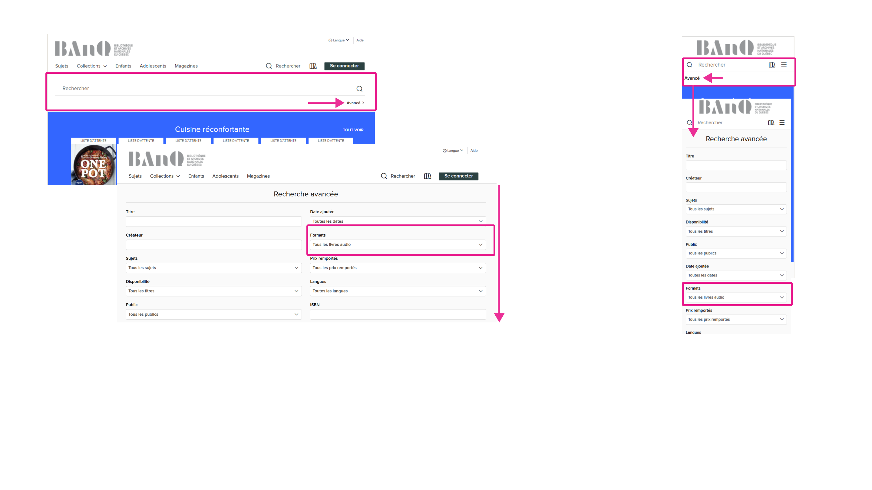 L’interface de recherche avancée de la plateforme OverDrive