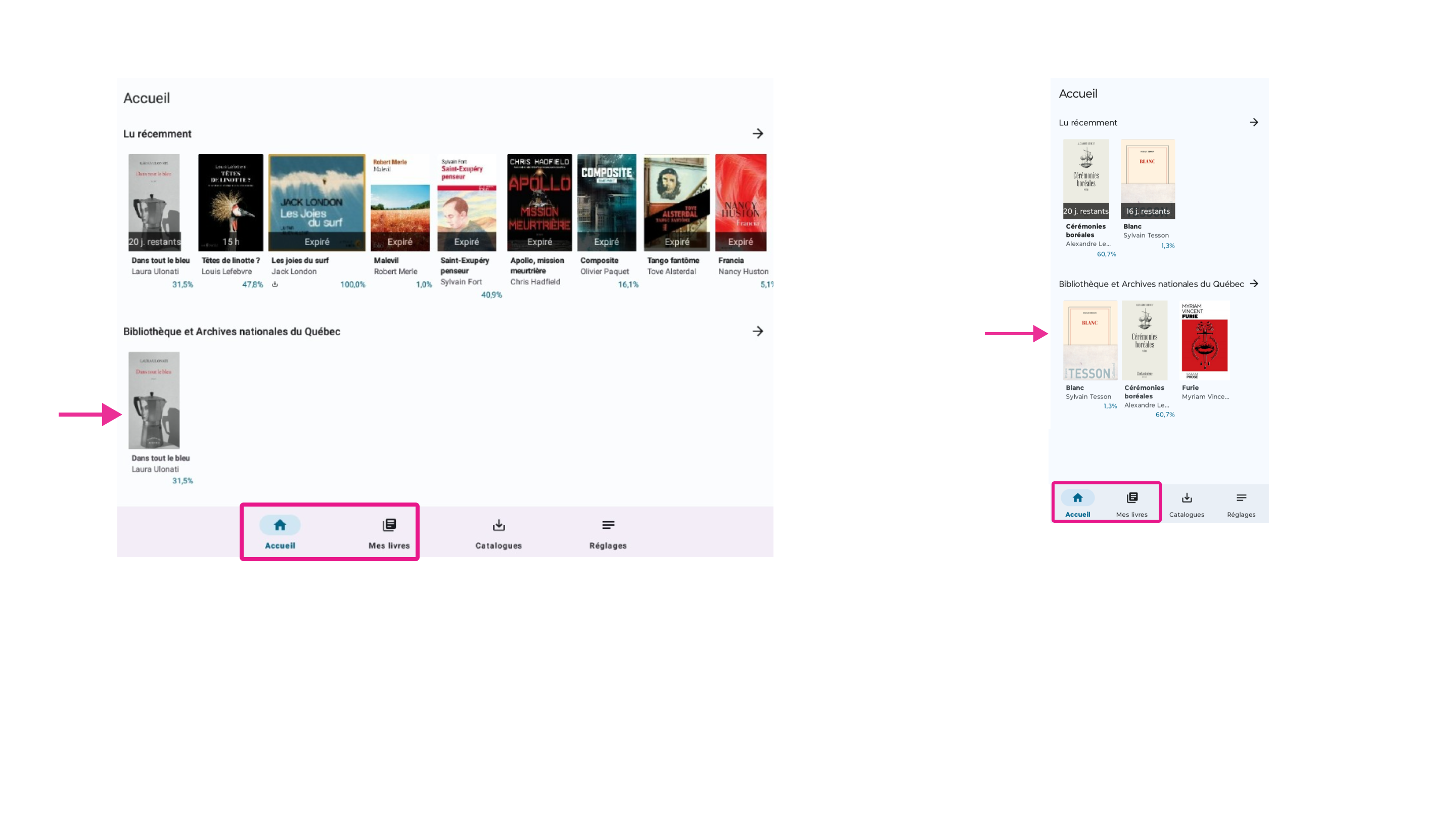 Emprunts apparaissant sur la page d’accueil de l’application Prenumerique