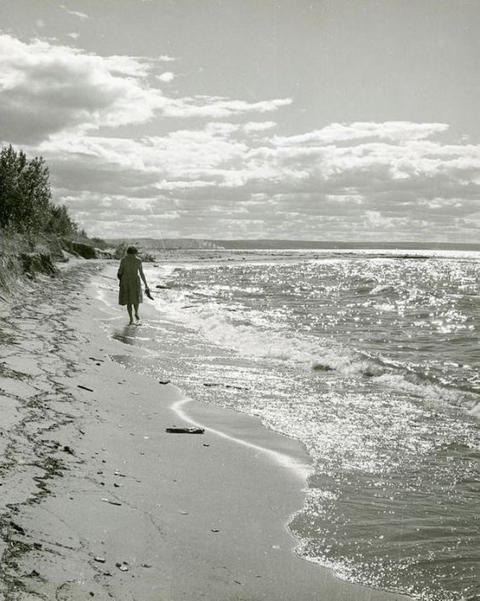 L'été à la plage