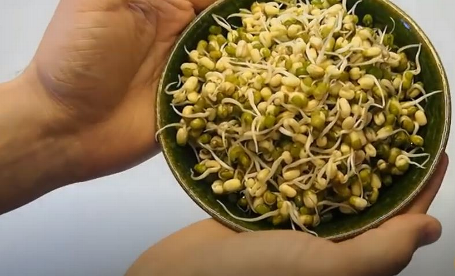 Les capsules jardinage de l'Espace Jeunes