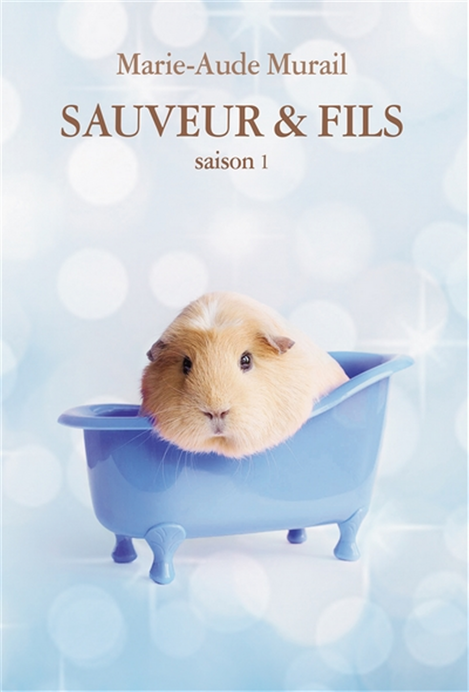 Sauveur & fils, saison 1