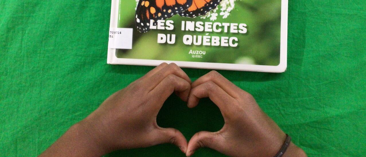 Deux mains d'enfant tiennent le livre "Les insectes du Québec" au-dessus d'un rideau vert.