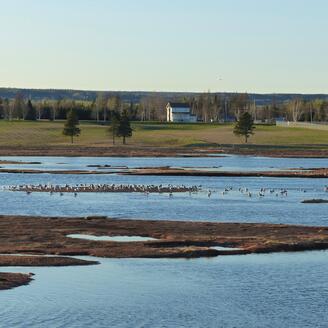 Paysage québécois