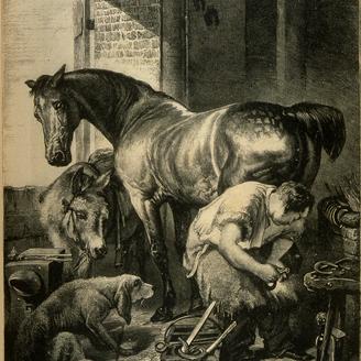 Un maréchal-ferrant en train de ferrer un cheval