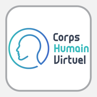 Logo de Corps humain virtuel