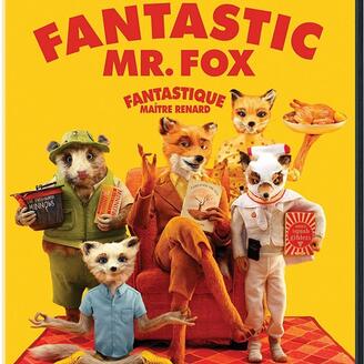 Une famille de renard et un opossum.
