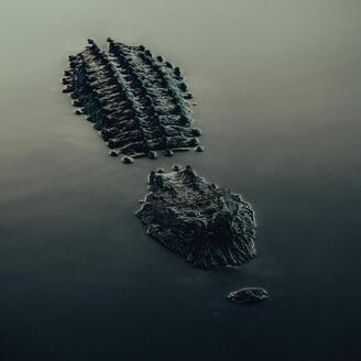 Crocodile furtif