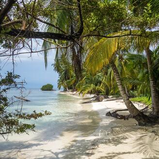 Végétation, plage et mer des Caraïbes