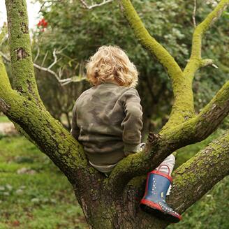 Un enfant, de dos, grimpant dans un arbre.