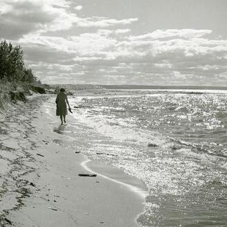 L'été à la plage