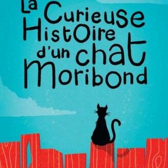 La curieuse histoire d’un chat moribond