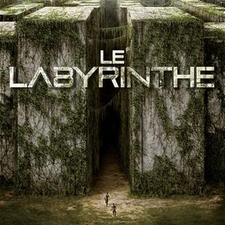 L'épreuve, tome 1 : Le labyrinthe