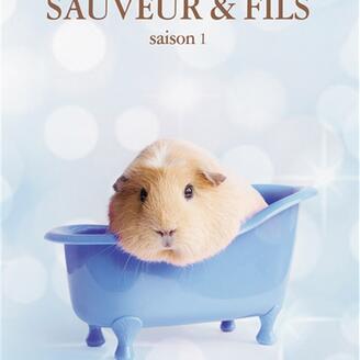 Sauveur & fils, saison 1