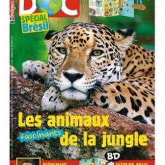 Images Doc