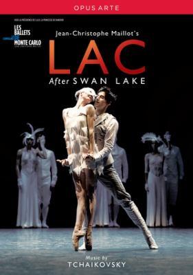 Affiche du ballet Lac After Swan Lake.