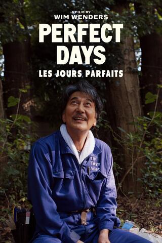 Les jours parfaits