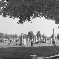 Photographie en noir et blanc prise en 1948. Vue du cimetière Sainte-Thérèse avec un arbre feuillu à l'avant plan 
