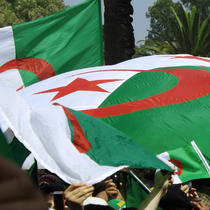 Drapeaux de l'Algérie tenus pas des manifestants.