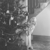 Une jeune fille se cache derrière un sapin de Noël.