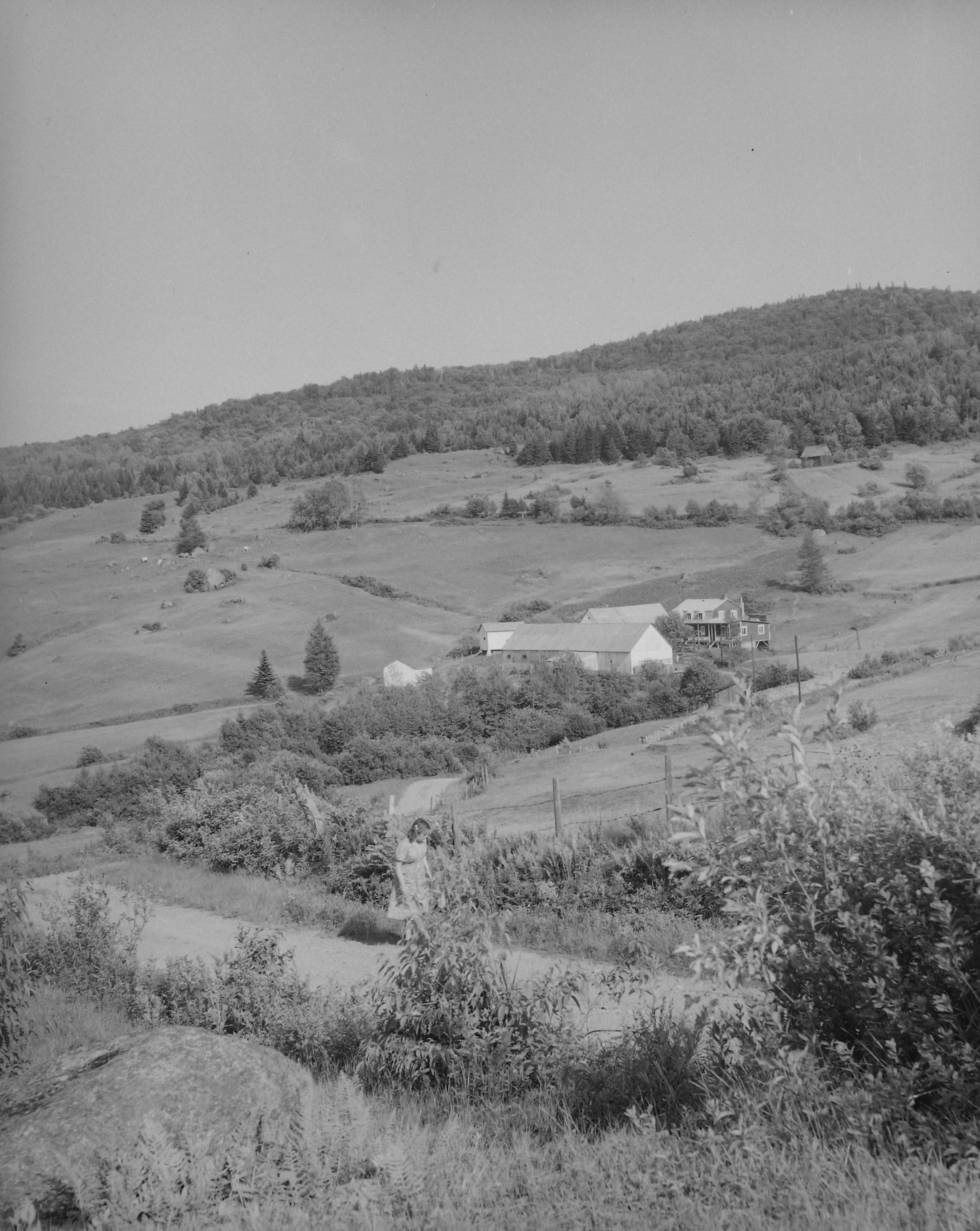 Une vue sur la vallée de la Jacques-Cartier On aperçoit une ferme au milieu d'un champ dans une vallée montagneuse.