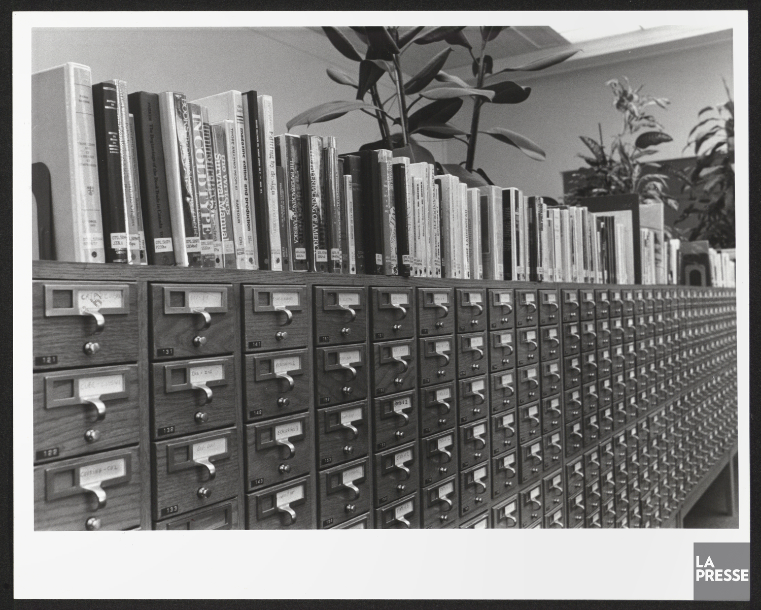 Catalogue de fiches