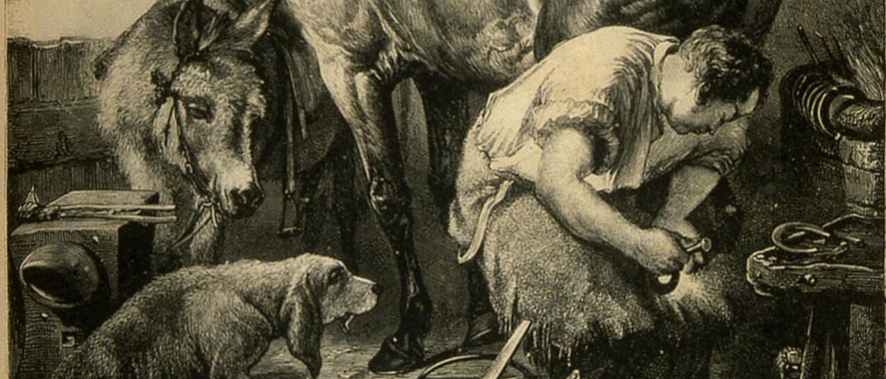 Un maréchal-ferrant en train de ferrer un cheval